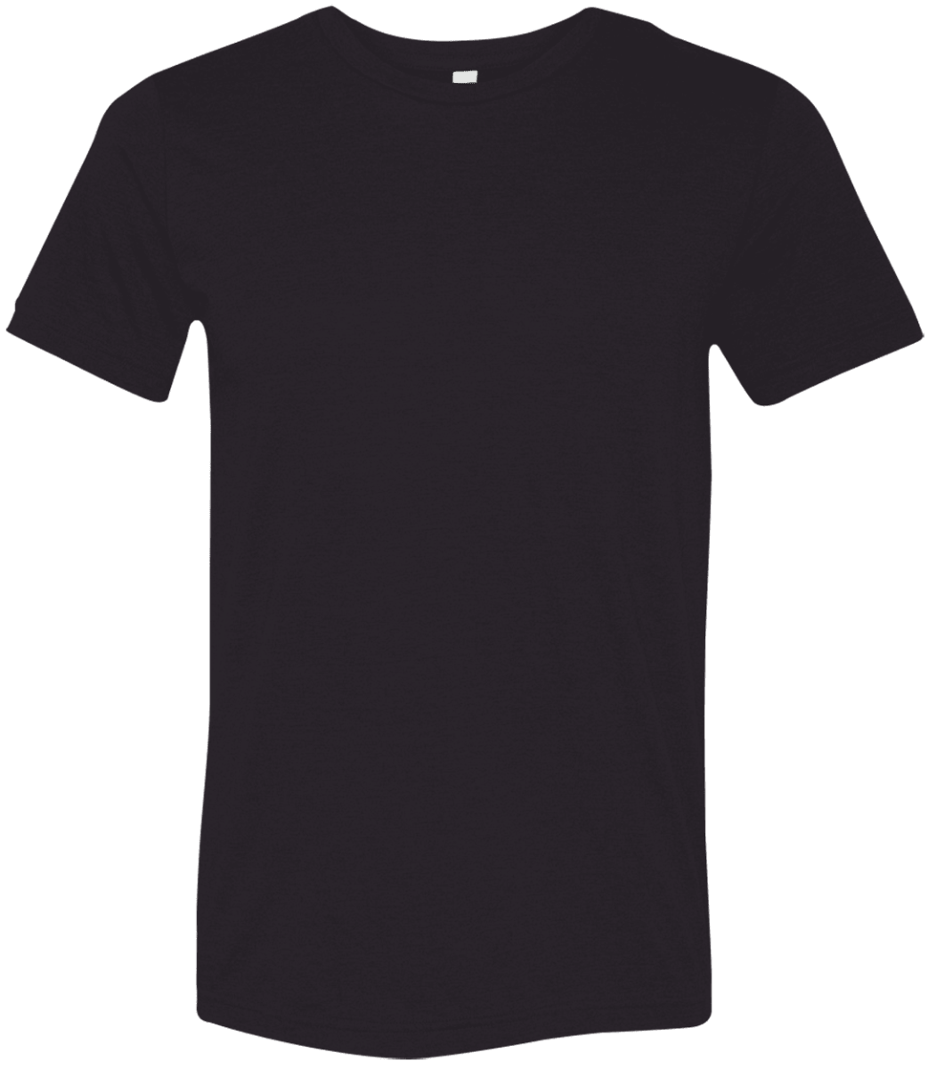3413 Bella + Canvas Unisex Triblend T-shirt